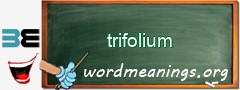 WordMeaning blackboard for trifolium